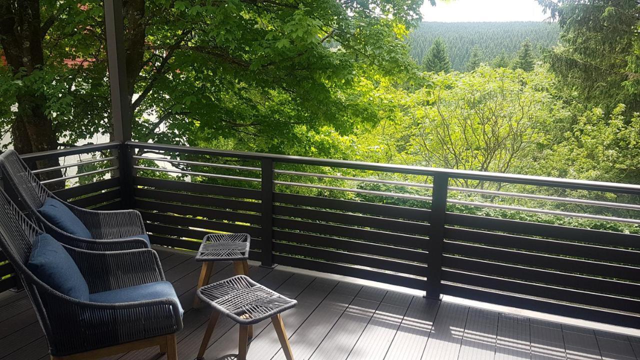 Pension & Ferienwohnung Oberhof 810 M Buitenkant foto